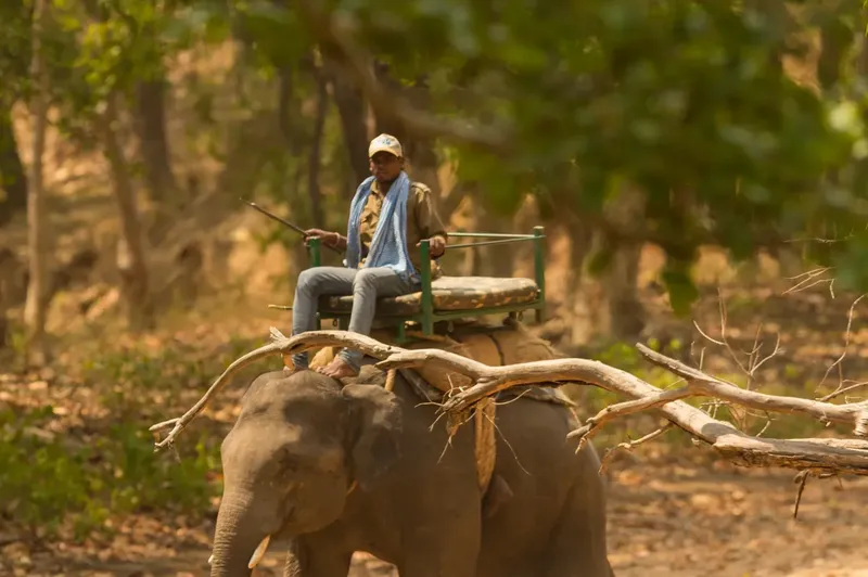 a man riding on the back of an elephant in Bandhavgarh